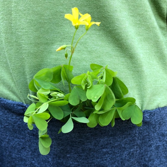 Remake - TEE dress with pockets - Picture 3 of 3